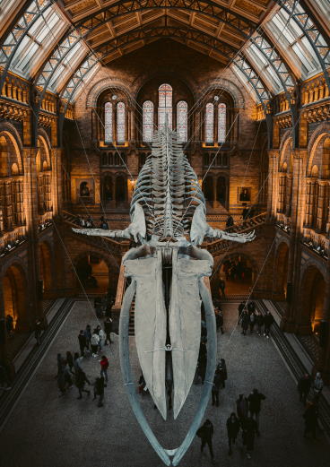 London — Museums & Transport